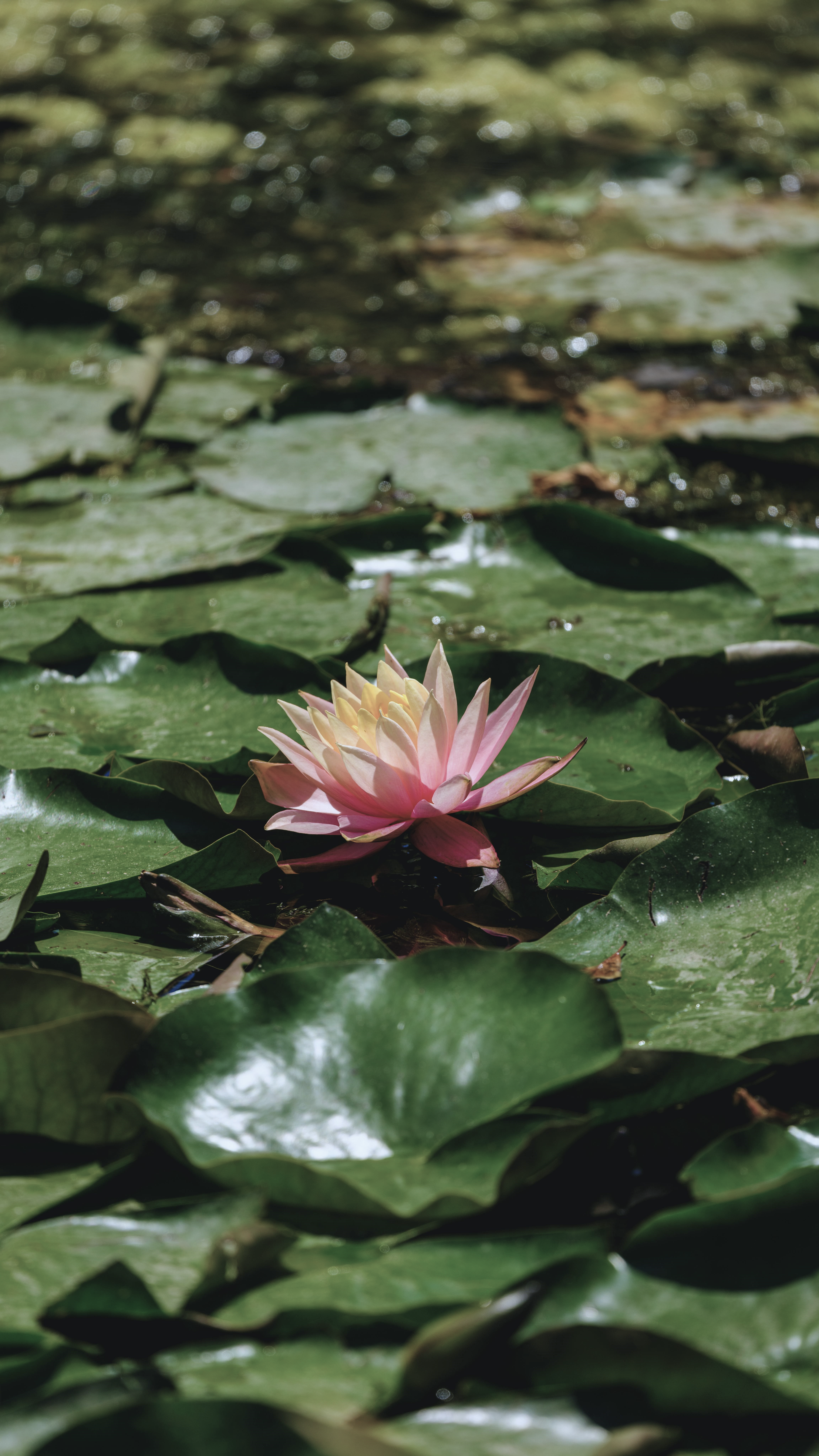 People in business meeting discussing resilience strategies